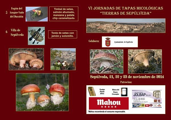 VIII Jornadas tapas micológicas Sepúlveda
